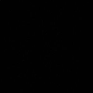 Meet your Posher, Nicholas